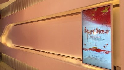 广西河池税局悬挂式案例展示